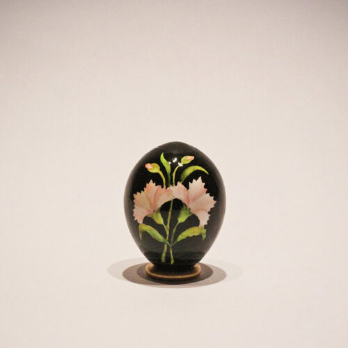 Twin dianthus caryophyllus