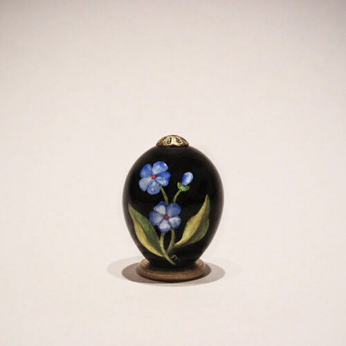 Anagallis arvensis azurea