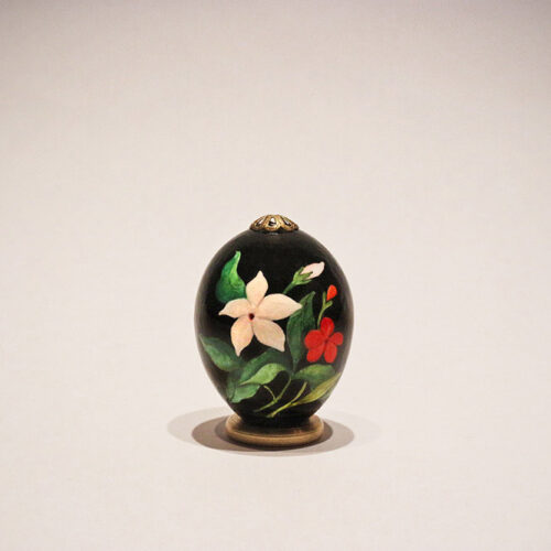 Jasminum & dianthus deltoides