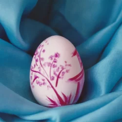 hen eggshell watercolor